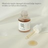 BEAUTY OF JOSEON - Sérum Revive : Ginseng + Mucine d'Escargot - 30ml