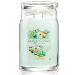 Yankee Candle Aloe & Agave bougie parfumée 567 g
