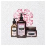 Arganicare Coffret Trio Lissant & Brillance Protéine de Soie