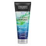 JOHN FRIEDA Hydratation Profonde Shampooing Nutrition