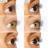 TARTE Lights, Camera, Lashes™ 4-In-1 - Mascara volumisant