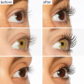 Tarte lights, camera, lashes 4-pieces Mascara volumisant collectors vault